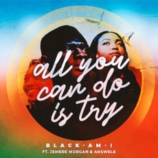 Buy All you can do is try